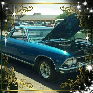 Meet your Posher, Sally